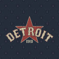 Detroit Stars 1919 Hoodie